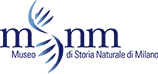 Museo di Storia Naturale di Milano